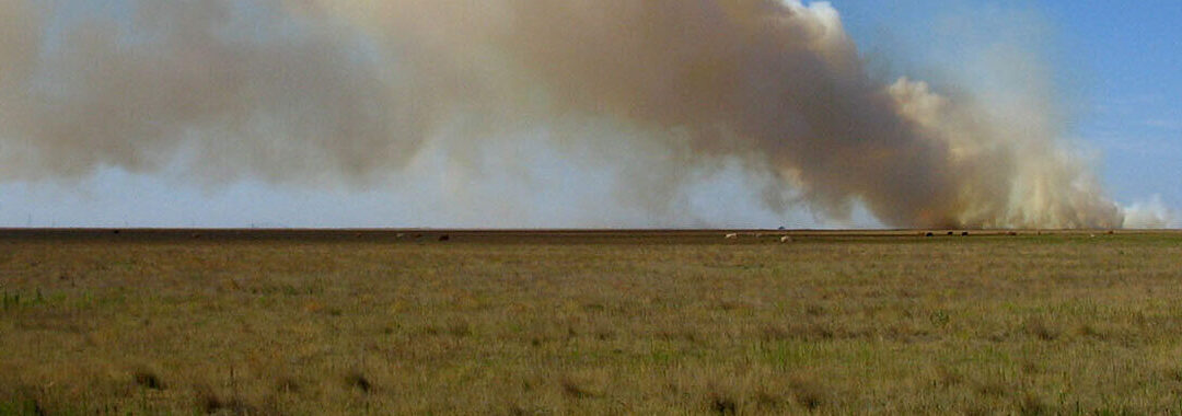 Texas wildfire