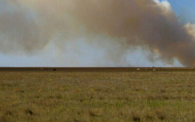 Texas Wildfires: Prevention and Safety