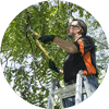 Man trimming tree branches